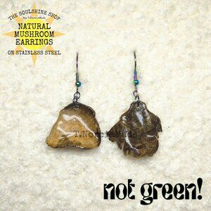 Not Green! Natural Mushroom Earrings